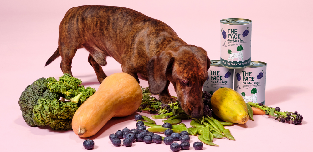 What Human Foods Are Toxic For Dogs?