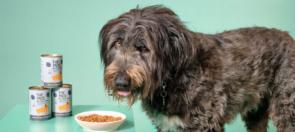 NEW RESEARCH FURTHER SUPPORTS THE HEALTH BENEFITS OF VEGAN DOG FOOD!