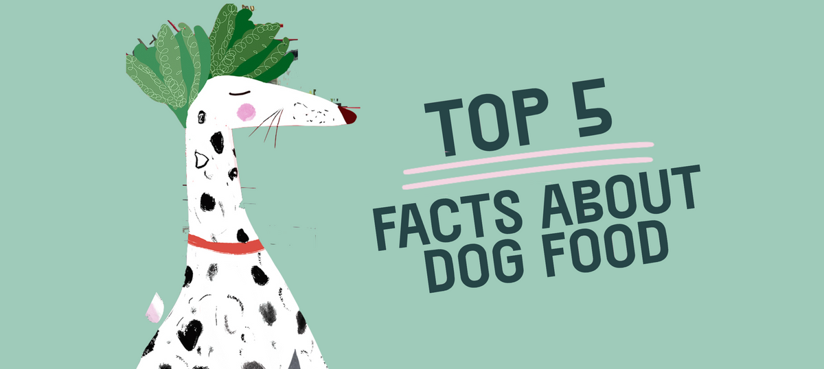 Facts about dog store food