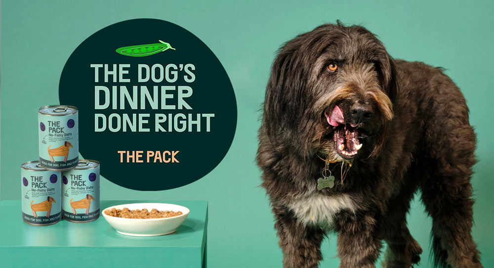 Dine With Your Dog This Veganuary
