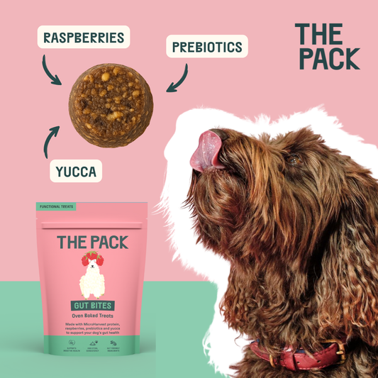 Functional Treats Taster Bundle