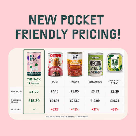 Plant-Based Healthy Meals