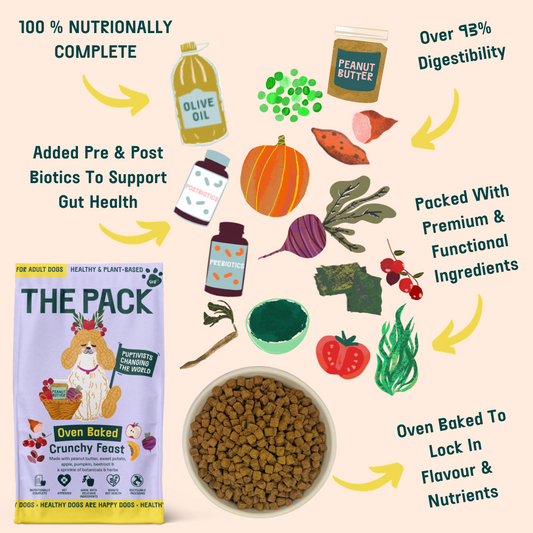 THE PACK Starter Bundle