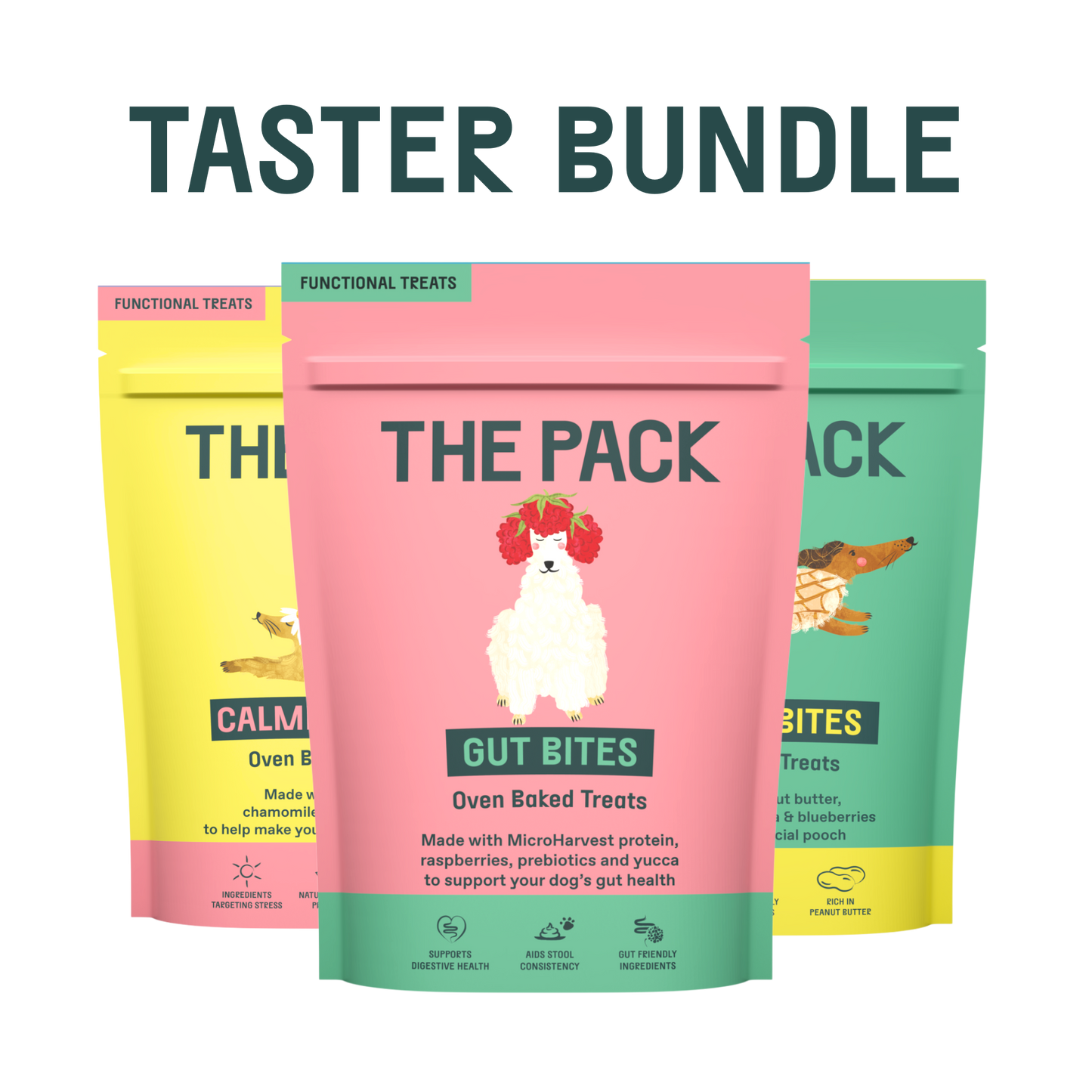 THE PACK Starter Bundle