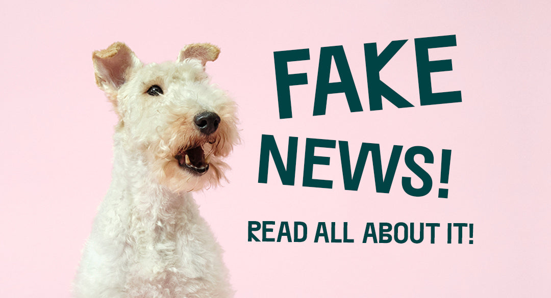 A Plant-Based Diet For Dogs Is NOT In Breach Of The Animal Welfare Act