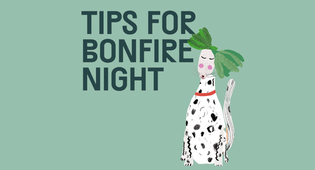 How To Calm Dogs During Fireworks