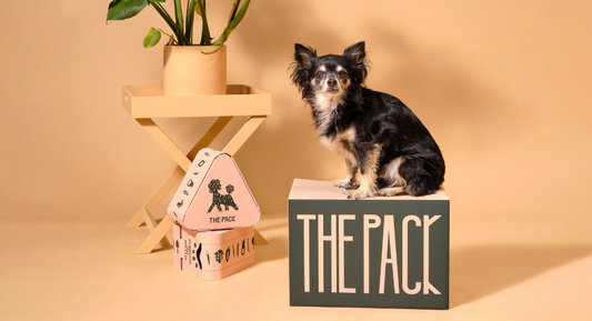 Why Sustainable Packaging Is Important To Us