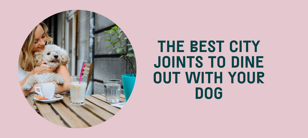 The Best City Joints To Dine Out With Your Dog