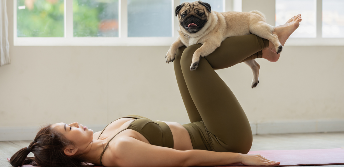 International Day of Yoga