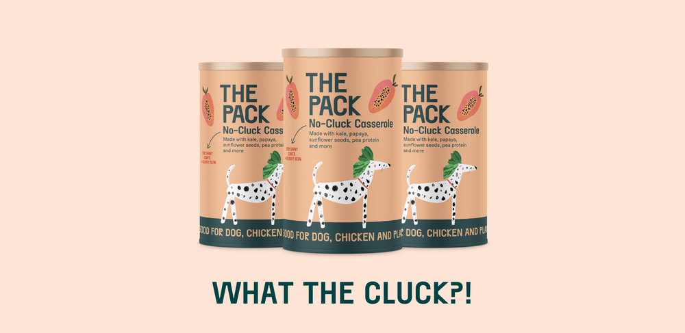 NO CLUCK, NO MUCK: WHY YOU WON’T FIND CONTAMINATED CHICKENS IN OUR PET FOOD!