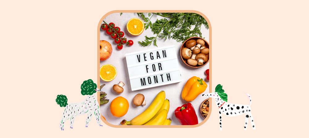 Veganuary Events to Look Out For