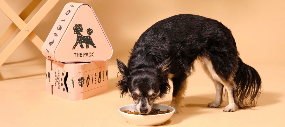 What Our Customers Think About THE PACK - Q2