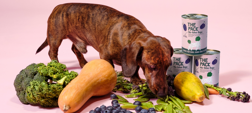 Vegan Dog Food THE PACK Answers Your Questions