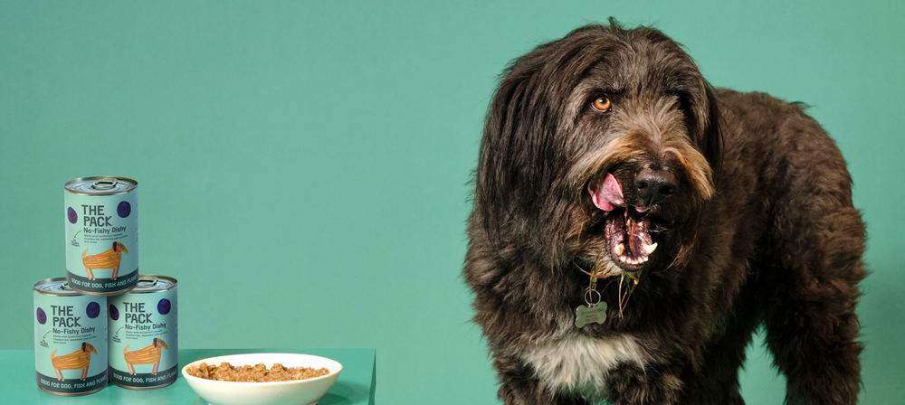 Dine With Your Dog