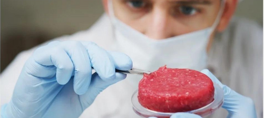 WHAT’S THE DEAL WITH CULTIVATED MEAT FOR DOGS?