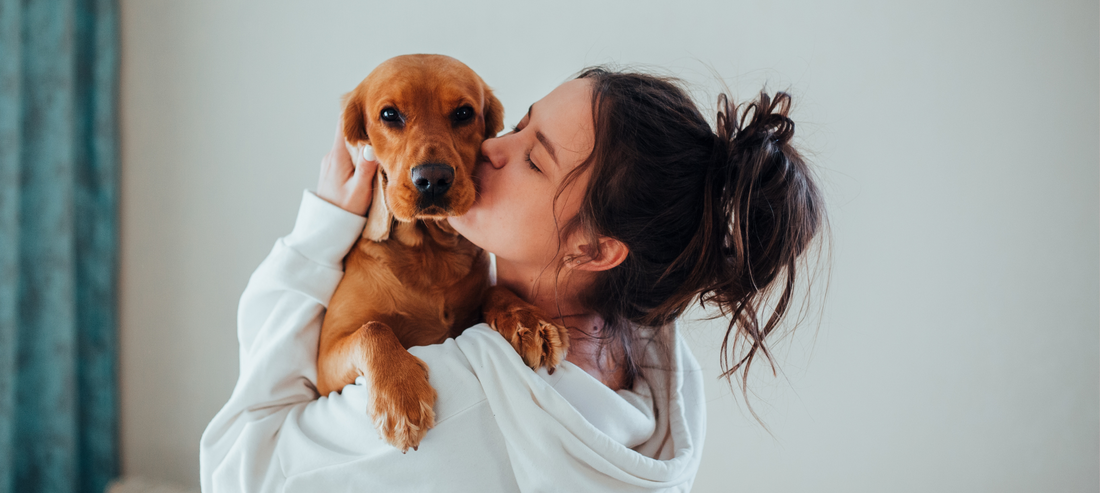 THIS ‘LOVE YOUR PET DAY’, LOVE YOUR DOG FOR BEING A DOG