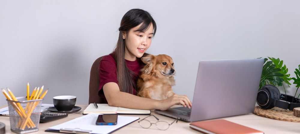 (Re)Introducing Your Dog into the Workplace