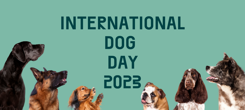 International Dog Day 2023 — Appreciating our pooches every day of the year
