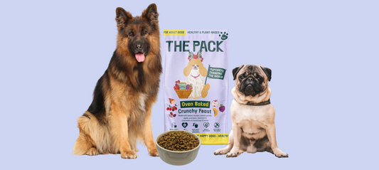 THE PACK’S Super Powered Dried Food Ingredients