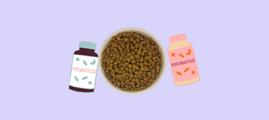 PREBIOTICS AND POSTBIOTICS: HOW DO THEY HELP MY DOG'S HEALTH?