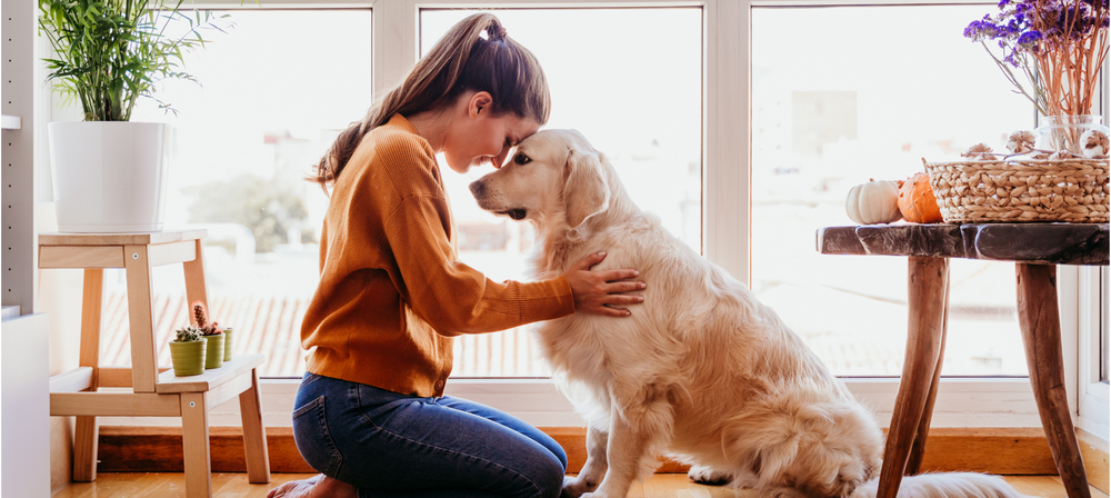 World Mental Health Day: The Impawtance of Keeping Your Dog’s Mind Healthy