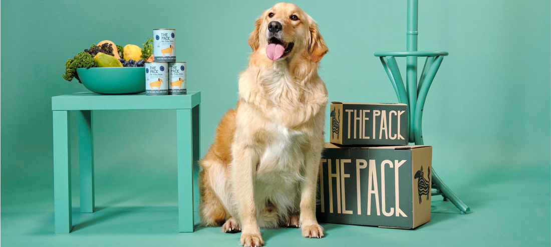 Why Is Vegan Dog Food More Expensive Than Meat Based Dog Food?