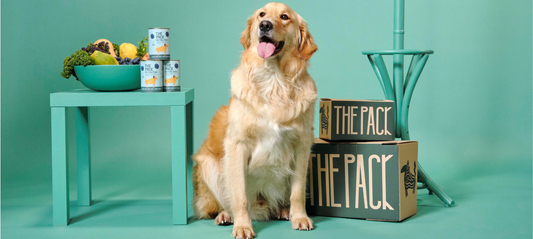 Why Is Vegan Dog Food More Expensive Than Meat Based Dog Food?