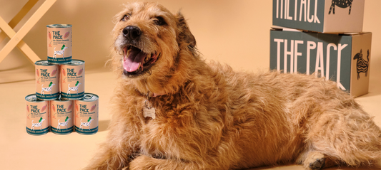 What Are Our Customers Saying About THE PACK?