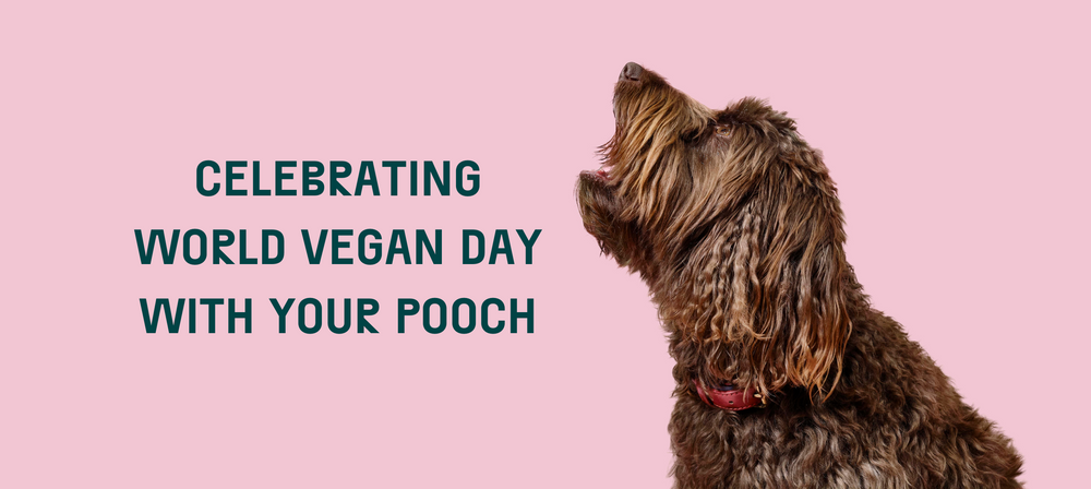 Celebrating World Vegan Day With Your Plant-Based Pooch