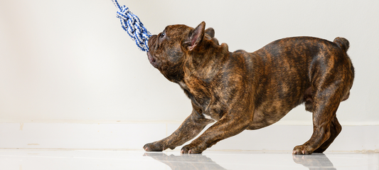 How To Stop Resource Guarding