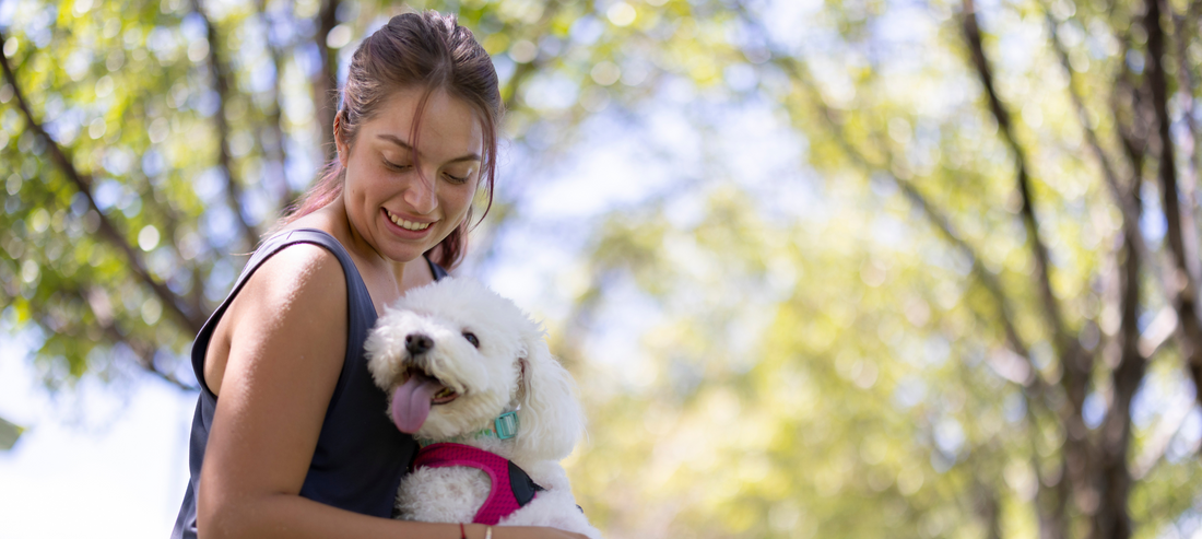 National Pet Day - Is It Right To Call Our Dogs, Pets?