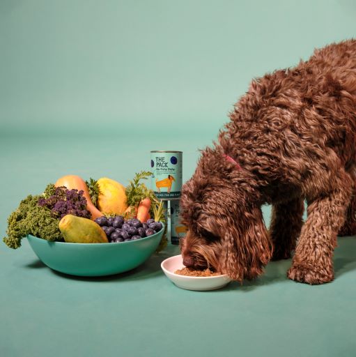 Why Digestibility Matters To THE PACK - And To Your Dog