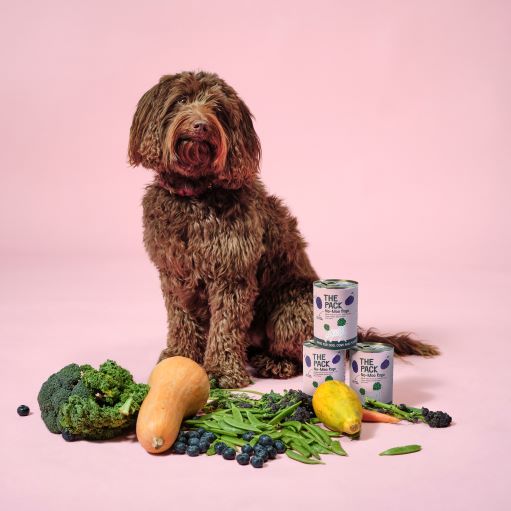 Why Is Veganuary Important?