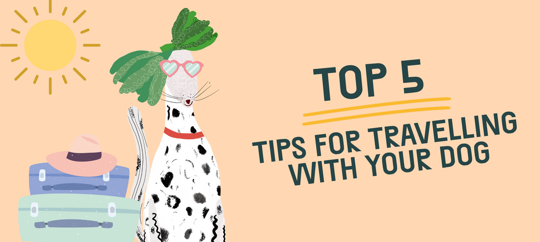 THE PACK’S Top 5 Tips For Travelling With Your Dog