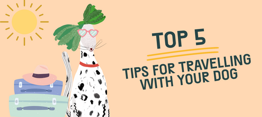 THE PACK’S Top 5 Tips For Travelling With Your Dog