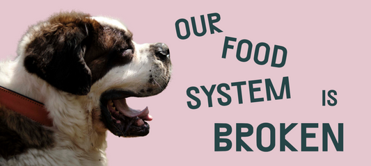 Lifting The Lid On An Industry In Crisis