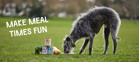 Five Ways To Feed THE PACK