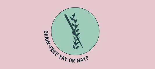 Grain-Free Dog Food. What's The Deal?