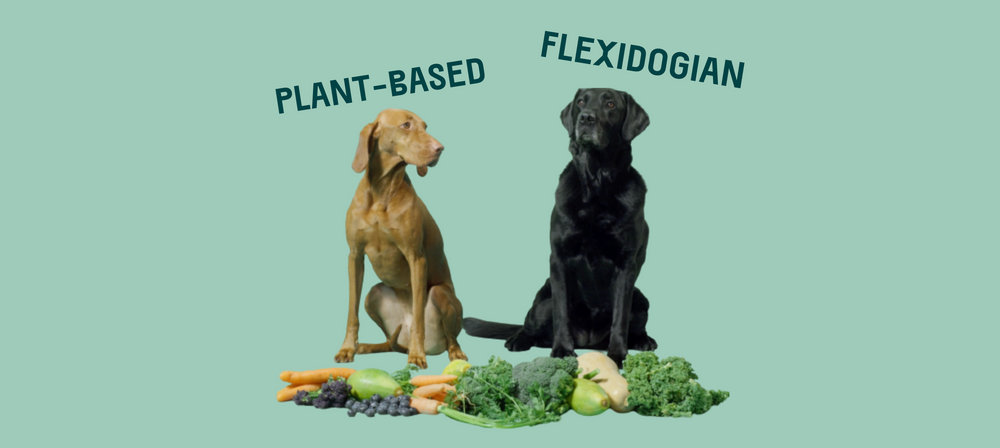 Flexidogian: Reducing Your Dog's Pawprint
