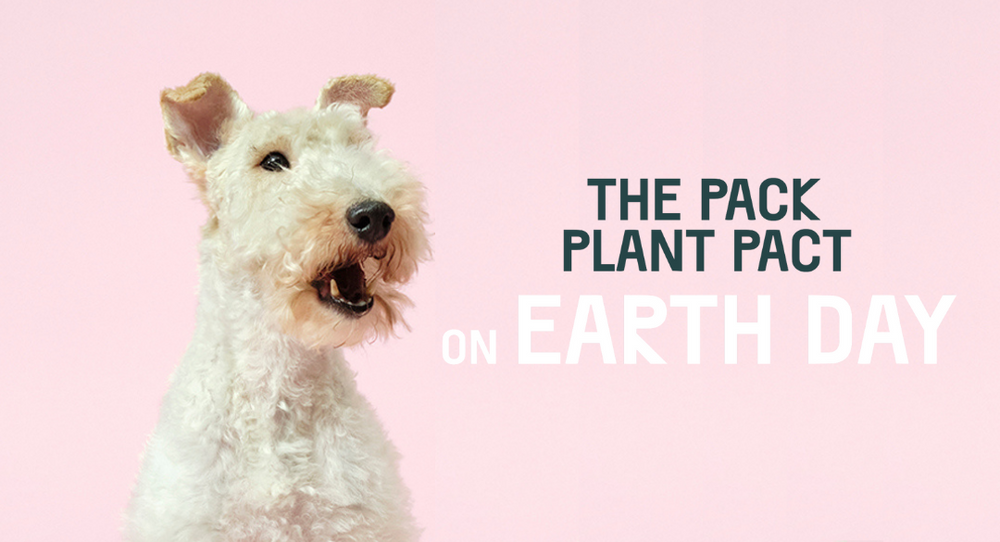 Plant-Based Dog Food Pact On Earth Day