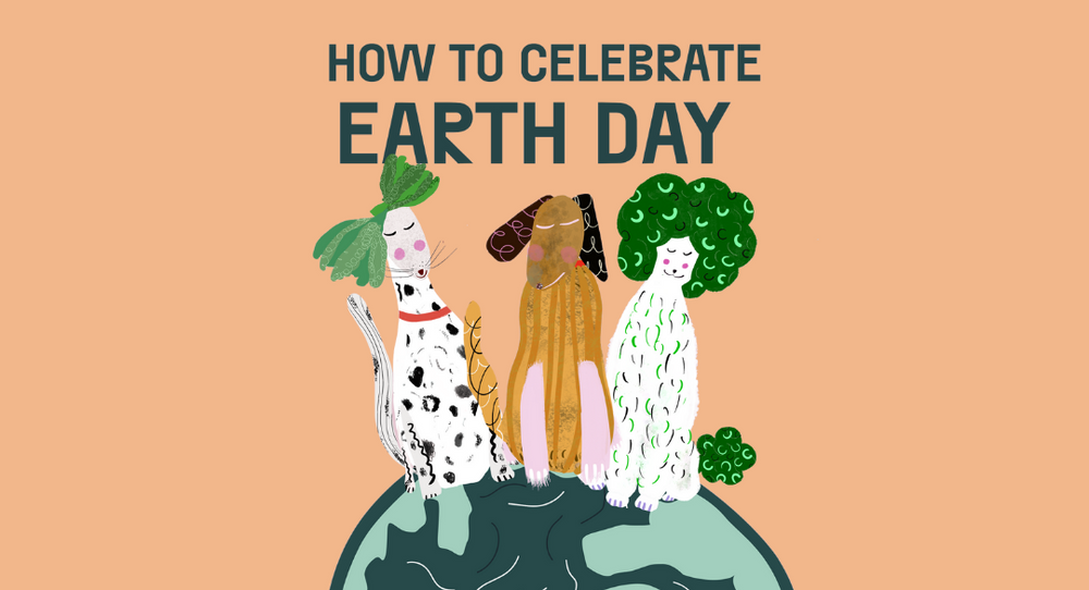 Six Ways To Celebrate Earth Day With Your Dog