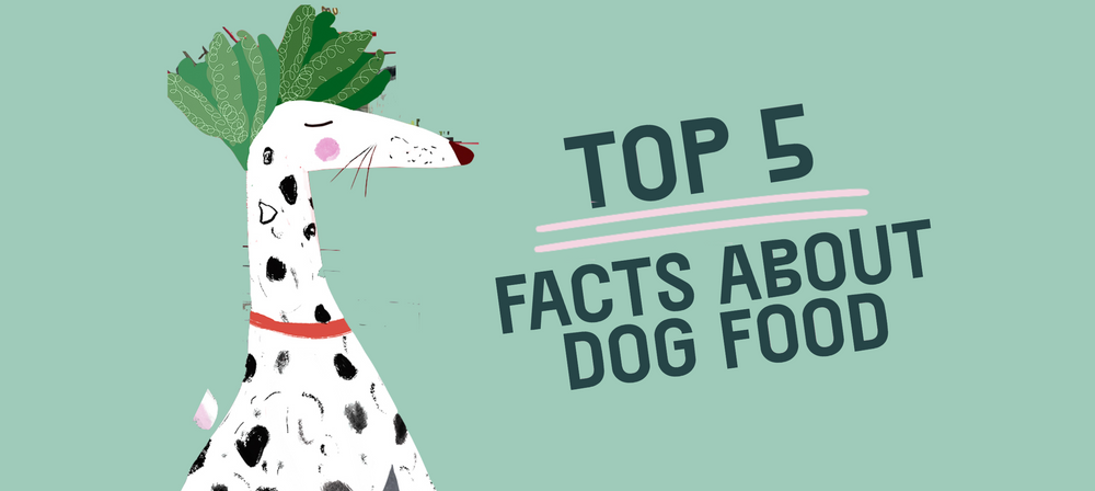 THE PACK’S Top Five Facts About Dog Food