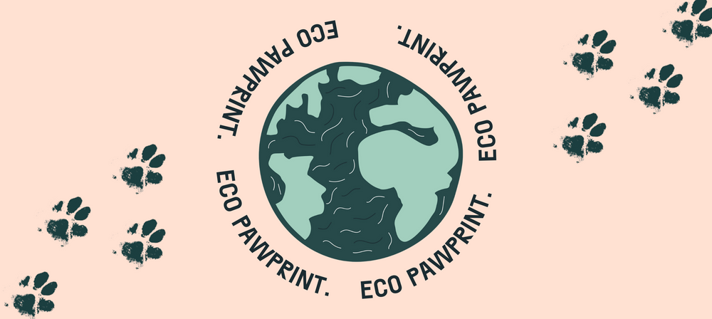 search image 2 Reduce Your Dogs Carbon Pawprint: 10 Creative Ways to Live Sustainably with Your Pup 2