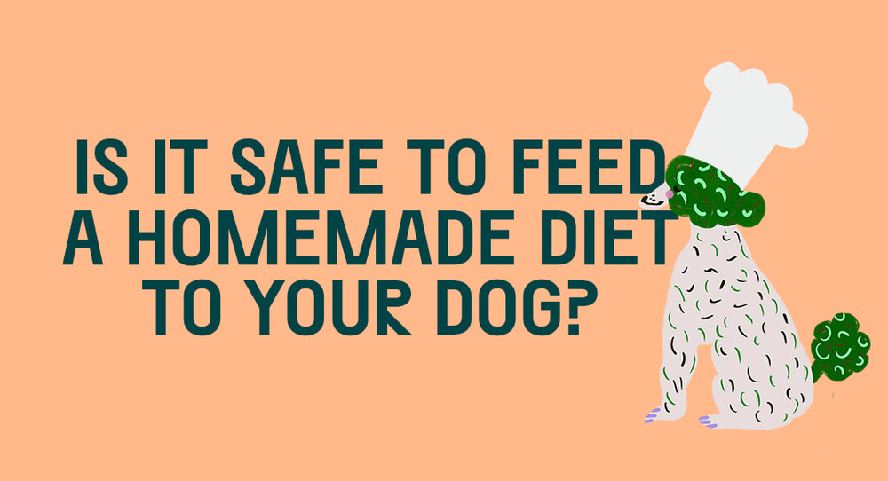 Is It Safe To Feed A Homemade Diet To Your Dog?