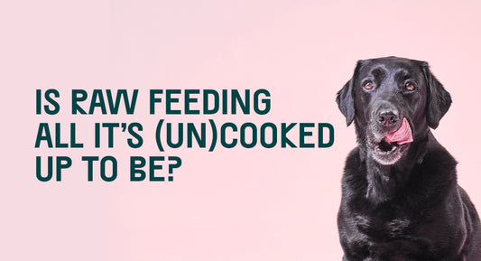 Is Raw Feeding All It's Un(Cooked) Up To Be?