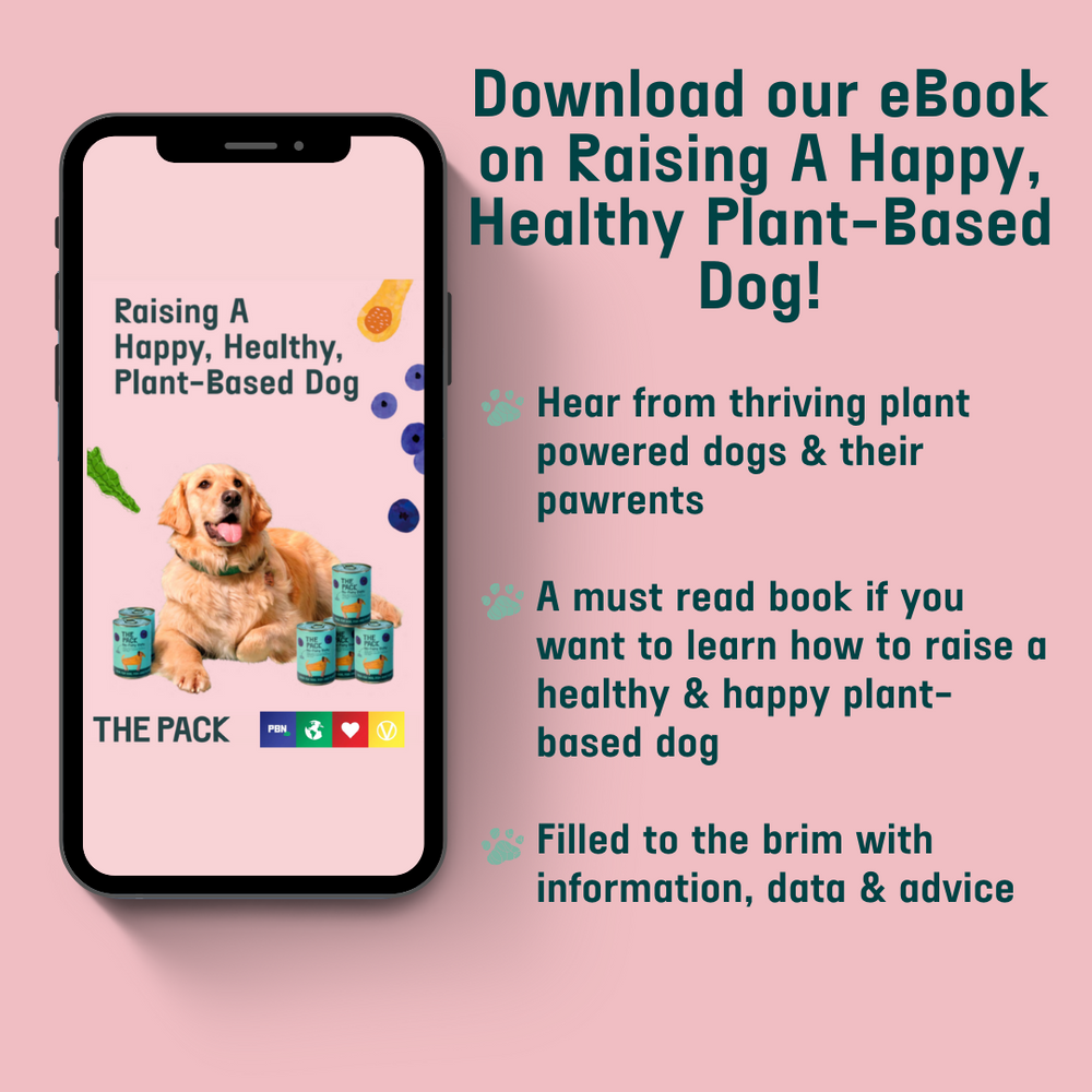 Raising a Happy, Healthy, Plant-based Dog – A FREE eBook!