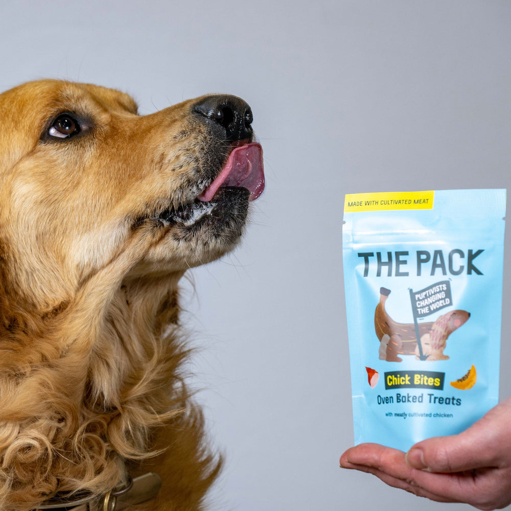 THE PACK Launches The World's First Dog Treat Containing Cultivated Meat