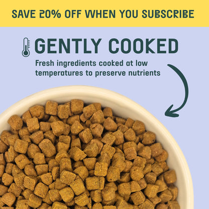 Oven Baked Dried Food