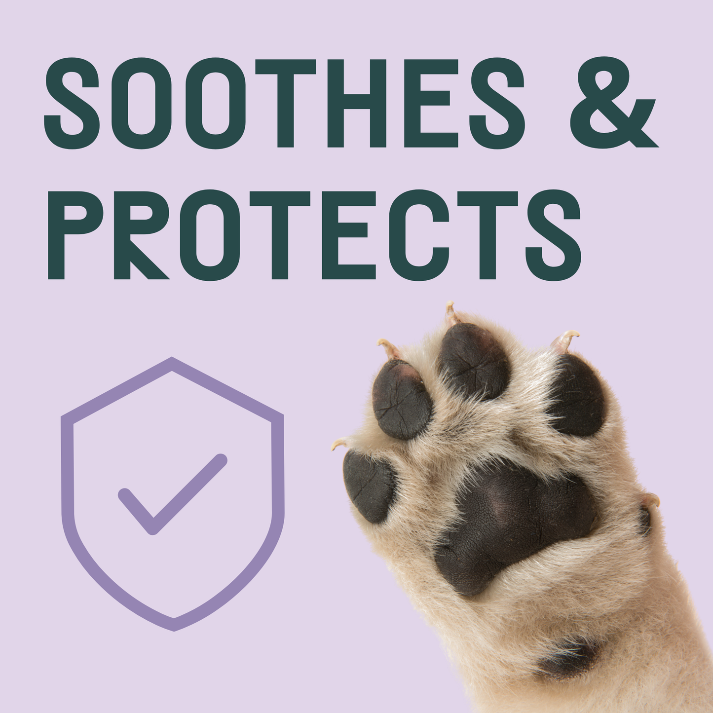 THE PACK Roll On Paw Protector