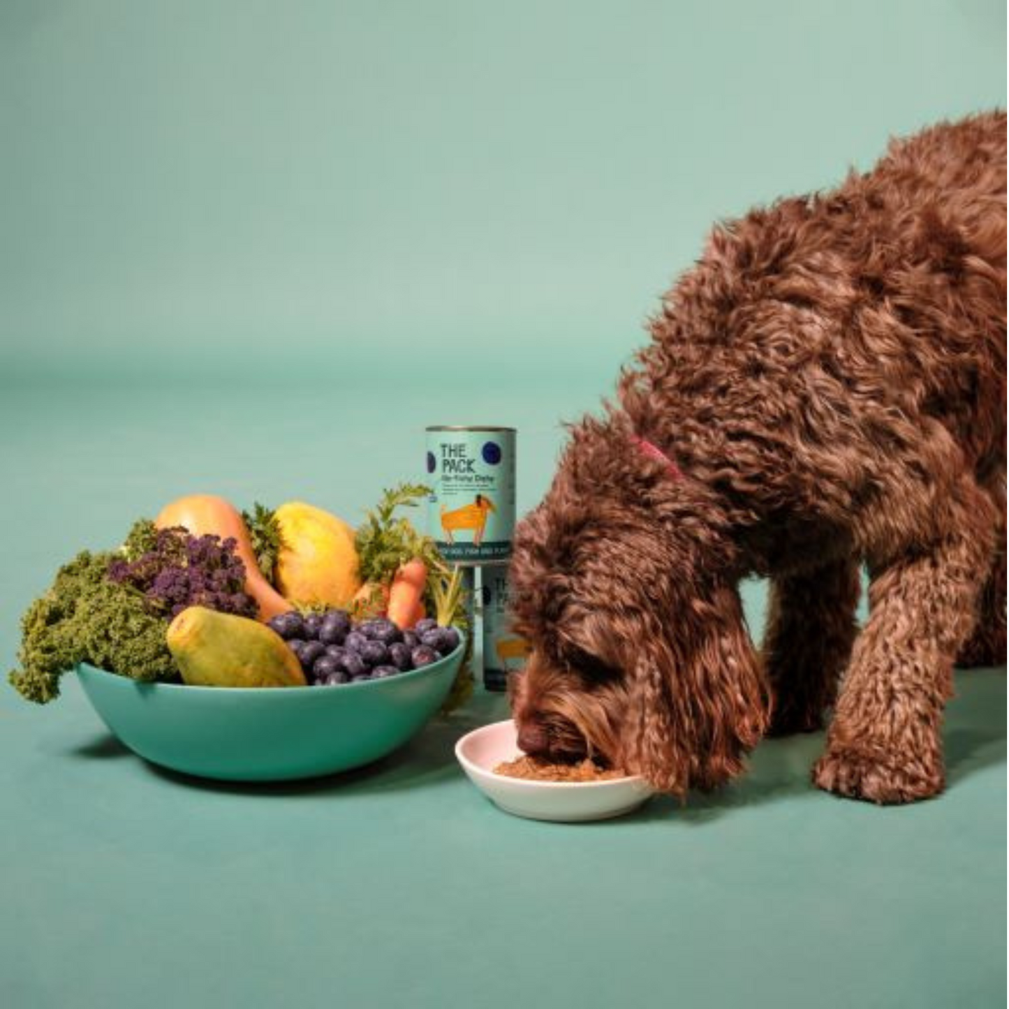 Plant-Based Healthy Meals